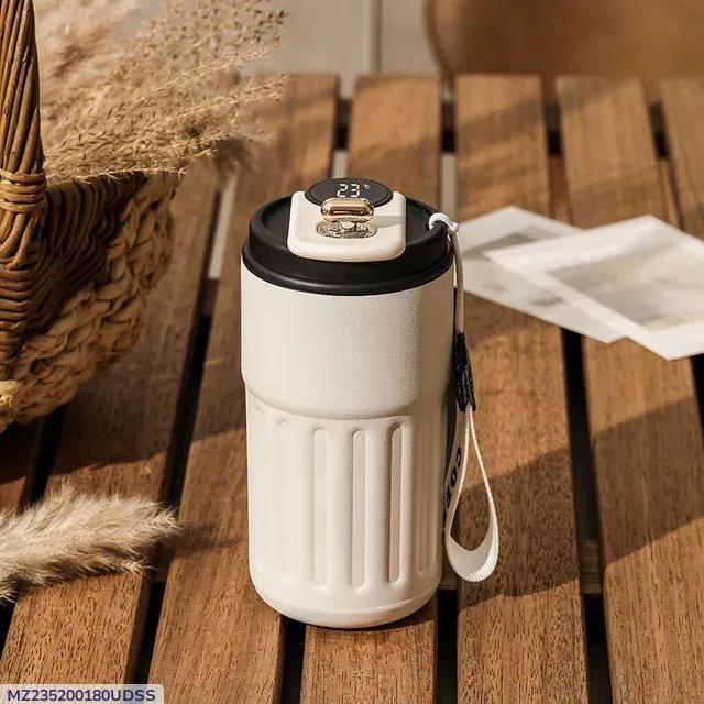 Insulated Temperature Water Bottle