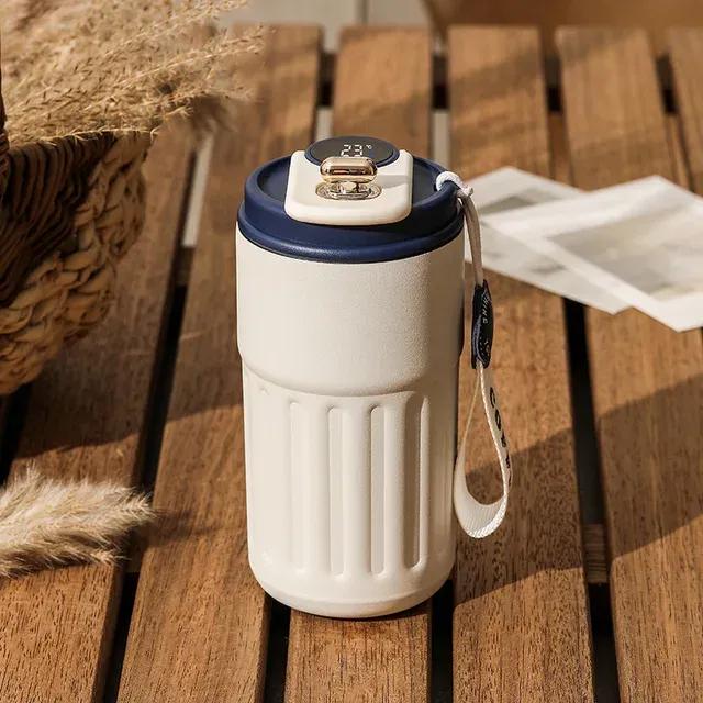 Insulated Temperature Water Bottle